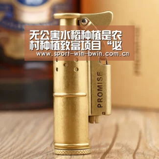 无公害水稻种植是农村种植致富项目“必赢官方网站”(图3) 必赢官方网站