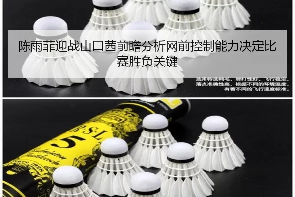 陈雨菲迎战山口茜前瞻分析网前控制能力决定比赛胜负关键