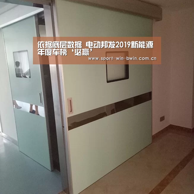 依据底层数据 电动邦发2019新能源年度车榜‘必赢’(图3) 必赢