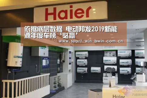依据底层数据 电动邦发2019新能源年度车榜‘必赢’(图2) 必赢官方网站